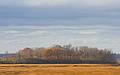 Nov. 2, 2009 - Parker River National Wildlife Refuge, Plum Island, Massachusetts.<br />View along path to Stage Pond.