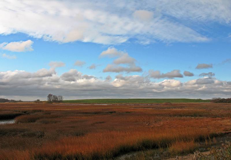 Nov. 2, 2009 - Parker River National Wildlife Refuge, Plum Island, Massachusetts.<br />View along path to Stage Pond.