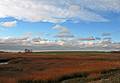 Nov. 2, 2009 - Parker River National Wildlife Refuge, Plum Island, Massachusetts.<br />View along path to Stage Pond.