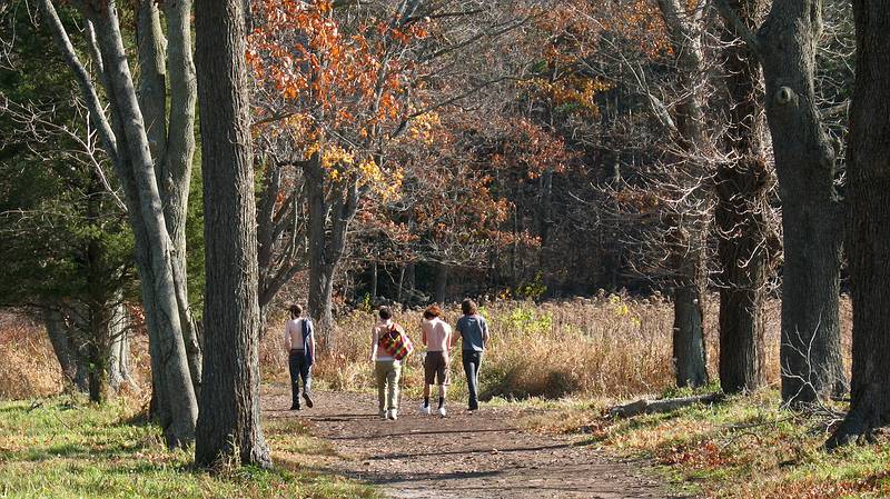 Nov. 8, 2009 - Appleton Farms, Ipswich, Massachusetts.<br />It was a beautiful, warm day.