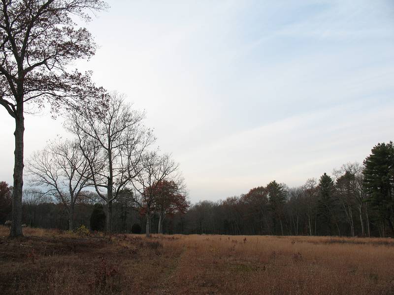 Nov. 9, 2009 - Appleton Farms, Ipswich, Massachusetts.