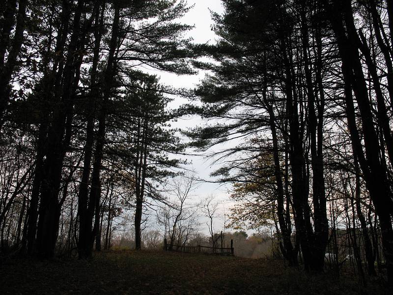Nov. 9, 2009 - Appleton Farms, Ipswich, Massachusetts.
