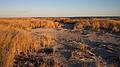 Dec. 1, 2009 - Sandy Point State Reservation, Plum Island, Massachusetts.