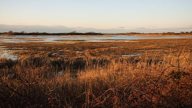 Dec. 1, 2009 - Sandy Point State Reservation, Plum Island, Massachusetts.