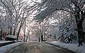 Dec. 6, 2009 - Merrimac, Massachusetts.<br />First snow of the season that accumulated (about a couple of inches).<br />Looking down Woodland Street toward Rt. 110.