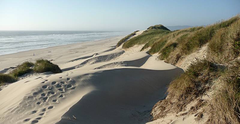 July 27, 2009 - Oregon Dunes National Recreation Park, Oregon.