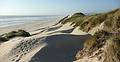 July 27, 2009 - Oregon Dunes National Recreation Park, Oregon.