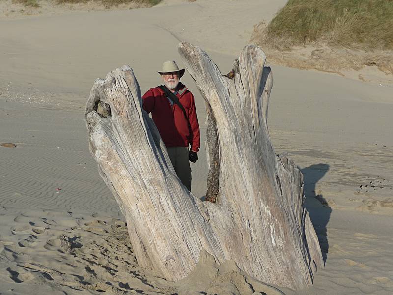 July 27, 2009 - Oregon Dunes National Recreation Park, Oregon.<br />Egils.