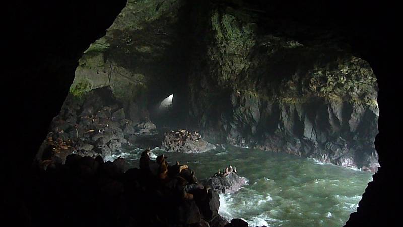 July 28, 2009 - Sea Lion Caves, Oregon.