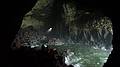 July 28, 2009 - Sea Lion Caves, Oregon.