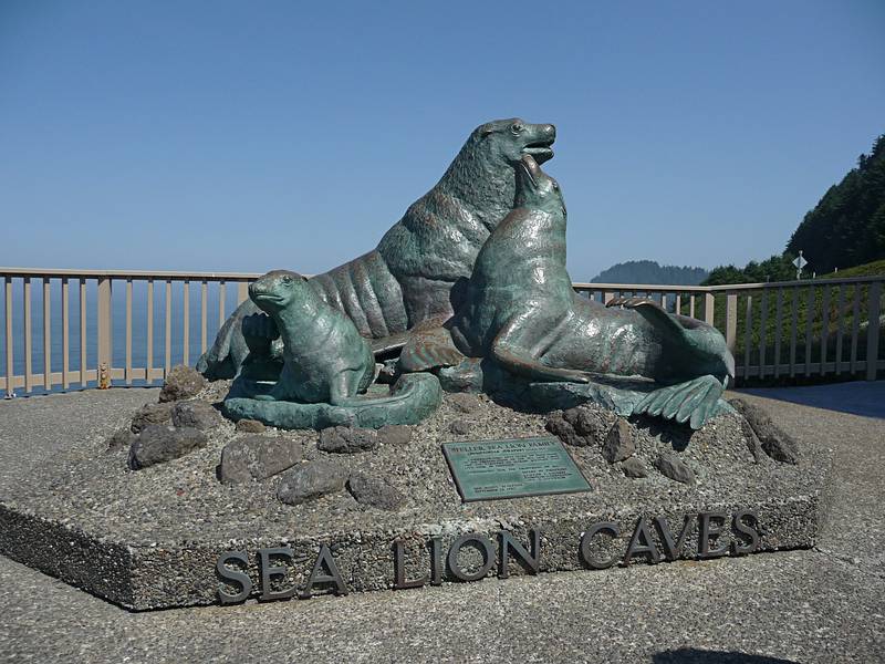 July 28, 2009 - Sea Lion Caves, Oregon.
