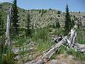 July 29, 2009 - East approach (NFD 99 Rd) to Mount Saint Helens, Washington.
