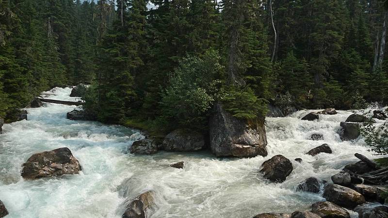 August 3, 2009 - Glacier National Park, British Columbia, Canada.<br />At the meeting of the Illecillewaet River and the Asulkan Brook.