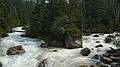 August 3, 2009 - Glacier National Park, British Columbia, Canada.<br />At the meeting of the Illecillewaet River and the Asulkan Brook.