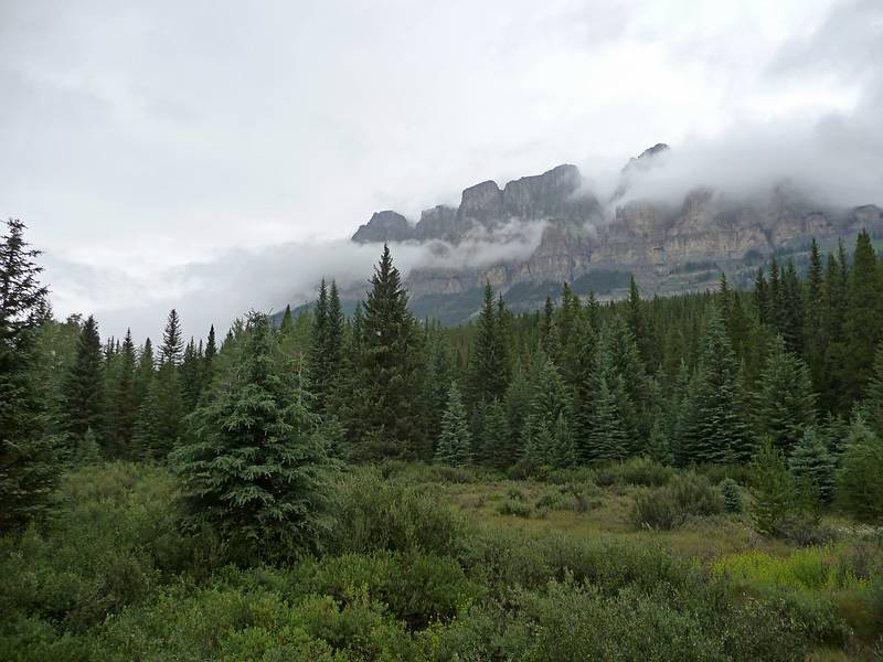 August 5, 2009 - Banff National Park, Alberta, Canada.<br />The Castle from pullout off Route 1A just north of Route 93.