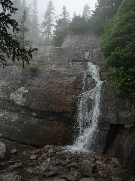 August 5, 2009 - Lake Louise area of Banff National Park, Alberta, Canada.<br />Along trail to Lake Agnes tea house.