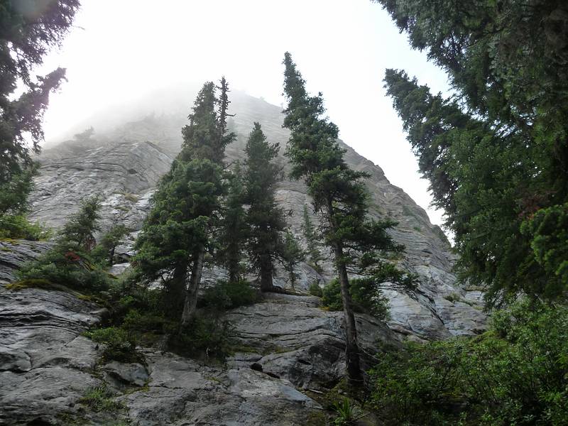 August 5, 2009 - Lake Louise area of Banff National Park, Alberta, Canada.<br />Along trail from Lake Agnes back down to Lake Louise.