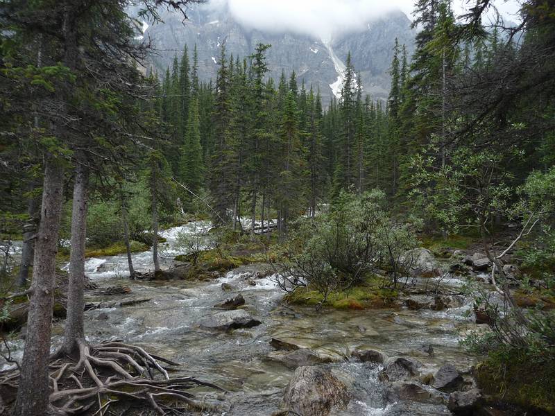 August 5, 2009 - Moraine Lake area, Banff National Park, Alberta, Canada.
