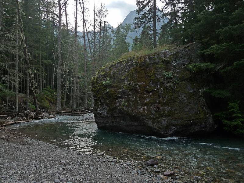 August 6, 2009 - Glacier National Park, Montana.<br />Hike to Avalanche Lake along Avalanche Creek.