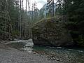 August 6, 2009 - Glacier National Park, Montana.<br />Hike to Avalanche Lake along Avalanche Creek.