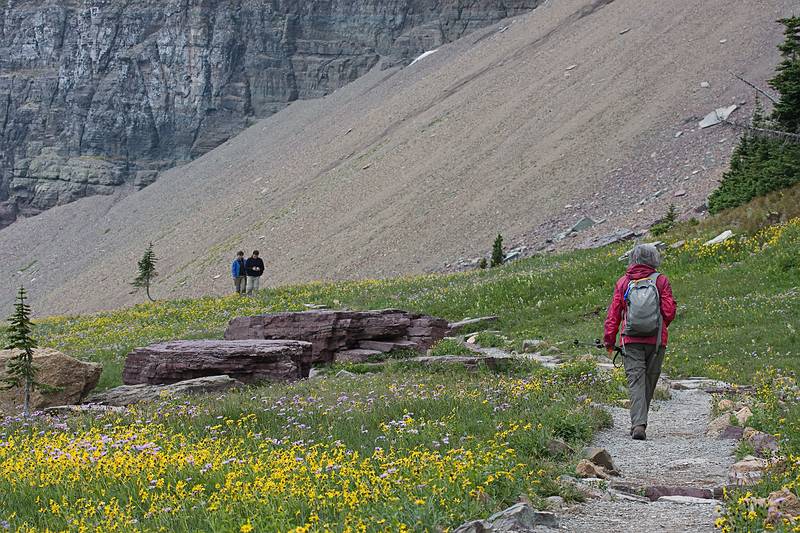 August 7, 2009 - Glacier National Park, Montana.<br />Hiking on Hidden Lake Trail above Logan Pass.<br />Joyce leading the way.