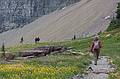 August 7, 2009 - Glacier National Park, Montana.<br />Hiking on Hidden Lake Trail above Logan Pass.<br />Joyce leading the way.