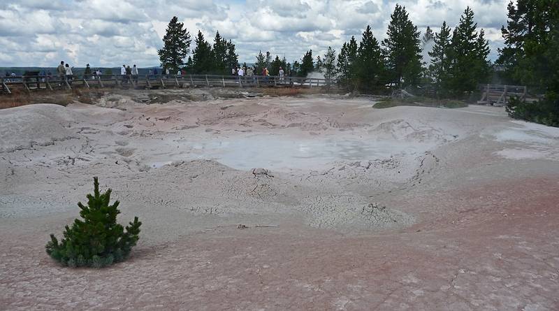 August 8, 2009 - Yellowstone National Park, Wyoming.<br />In the Old Faithful area.