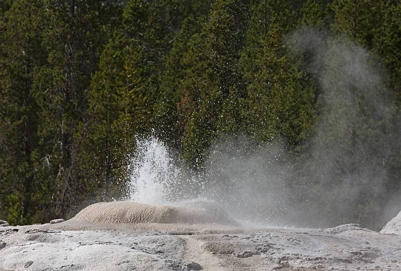 August 8, 2009 - Yellowstone National Park, Wyoming.<br />In the Old Faithful area.