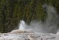 August 8, 2009 - Yellowstone National Park, Wyoming.<br />In the Old Faithful area.