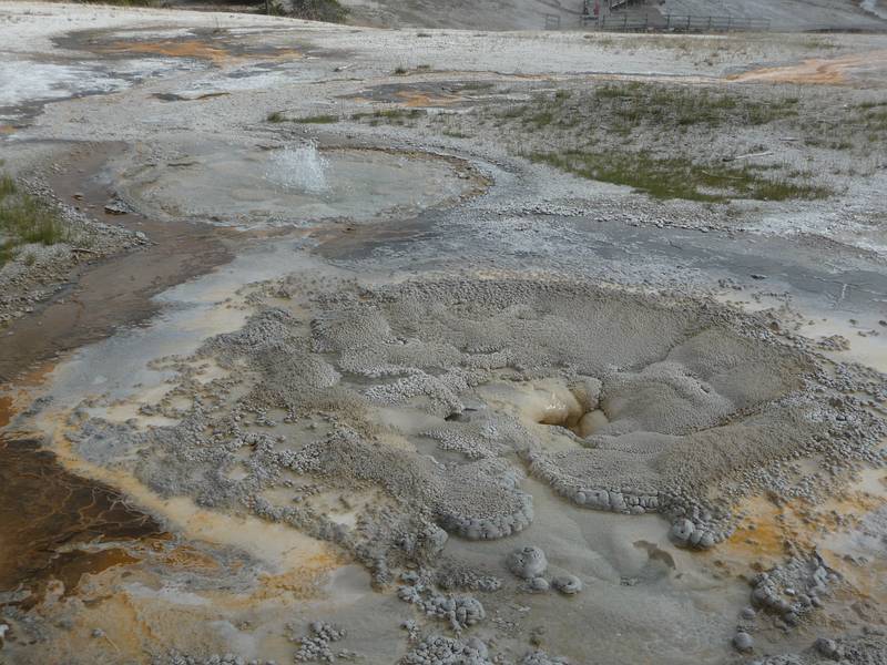 August 8, 2009 - Yellowstone National Park, Wyoming.<br />In the Old Faithful area.