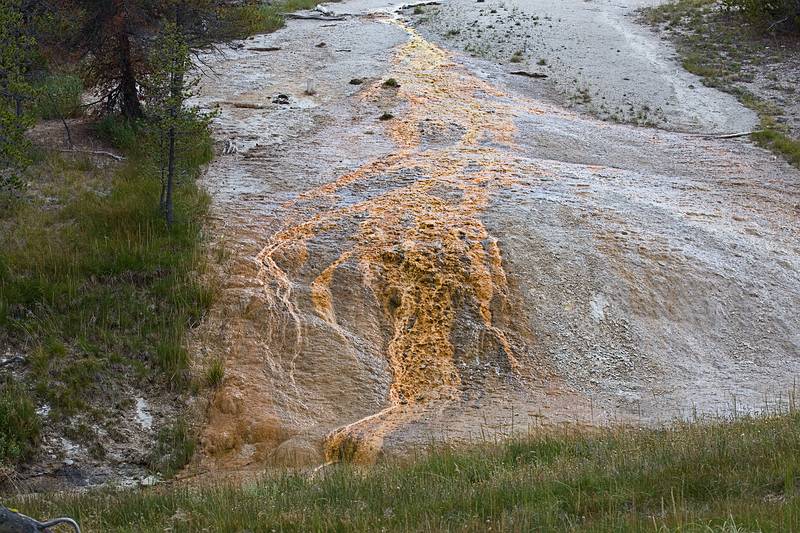 August 8, 2009 - Yellowstone National Park, Wyoming.<br />In the Old Faithful area.