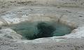 August 8, 2009 - Yellowstone National Park, Wyoming.<br />In the Old Faithful area.