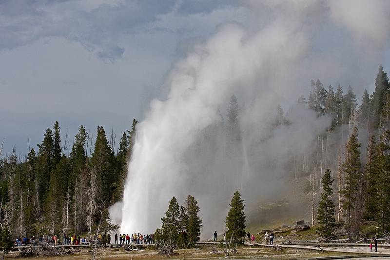 August 8, 2009 - Yellowstone National Park, Wyoming.<br />In the Old Faithful area.