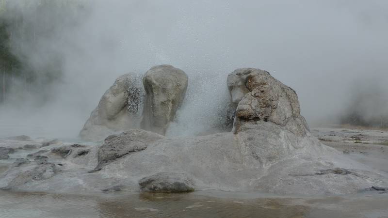 August 8, 2009 - Yellowstone National Park, Wyoming.<br />In the Old Faithful area.