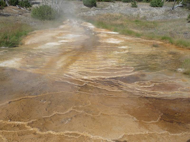 August 9, 2009 - Yellowstone National Park, Wyoming.<br />Mammoth Hot Springs Terraces area.