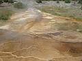 August 9, 2009 - Yellowstone National Park, Wyoming.<br />Mammoth Hot Springs Terraces area.