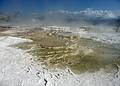 August 9, 2009 - Yellowstone National Park, Wyoming.<br />Mammoth Hot Springs Terraces area.
