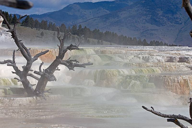 August 9, 2009 - Yellowstone National Park, Wyoming.<br />Mammoth Hot Springs Terraces area.