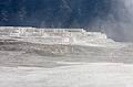 August 9, 2009 - Yellowstone National Park, Wyoming.<br />Mammoth Hot Springs Terraces area.
