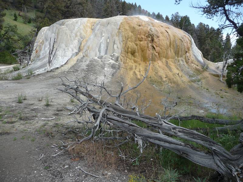 August 9, 2009 - Yellowstone National Park, Wyoming.<br />Mammoth Hot Springs Terraces area.