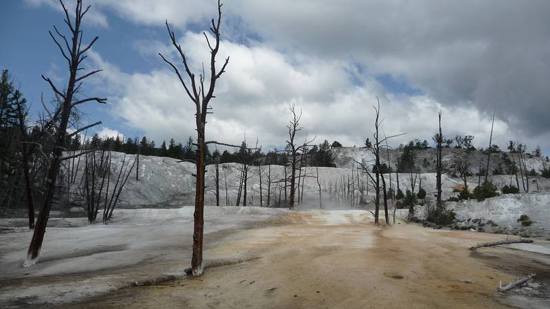 August 9, 2009 - Yellowstone National Park, Wyoming.<br />Mammoth Hot Springs Terraces area.