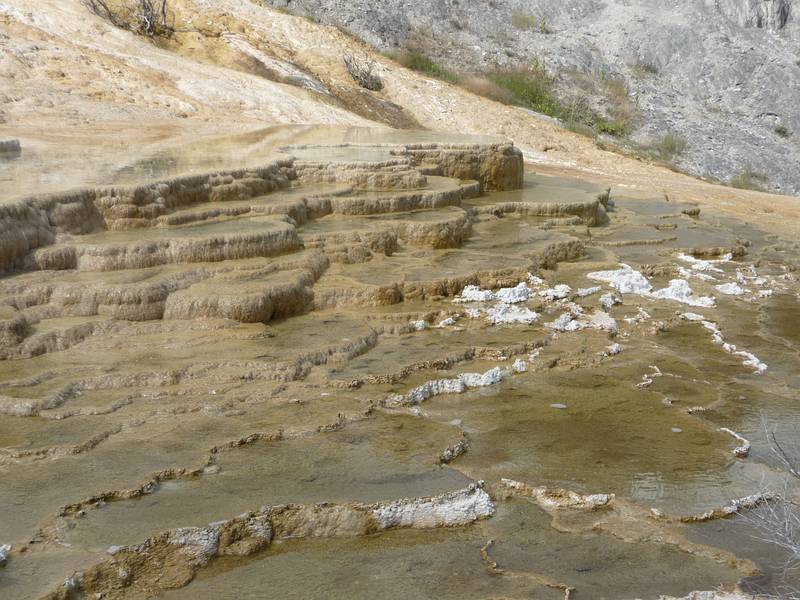 August 9, 2009 - Yellowstone National Park, Wyoming.<br />Mammoth Hot Springs Terraces area.