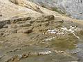 August 9, 2009 - Yellowstone National Park, Wyoming.<br />Mammoth Hot Springs Terraces area.