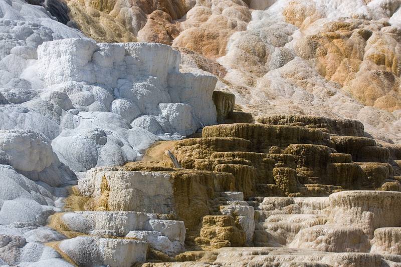 August 9, 2009 - Yellowstone National Park, Wyoming.<br />Mammoth Hot Springs Terraces area.