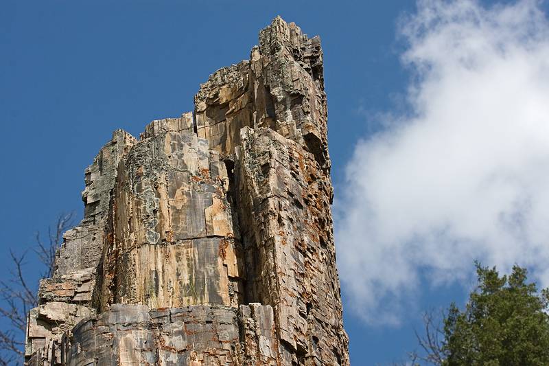 August 9, 2009 - Yellowstone National Park, Wyoming.<br />Petrified Tree.