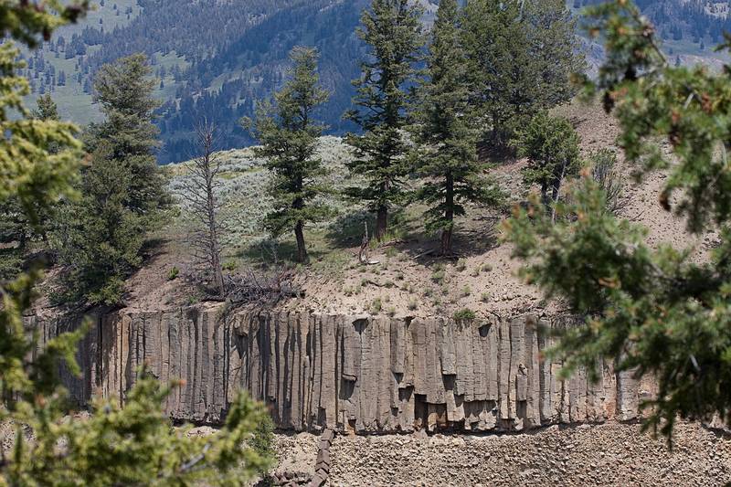 August 9, 2009 - Yellowstone National Park, Wyoming.<br />Basal columns along the rim of the Yellowstone River Canyon.