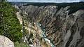August 9, 2009 - Yellowstone National Park, Wyoming.<br />Yellowstone River from North Rim near Lower Falls.