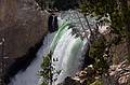 August 9, 2009 - Yellowstone National Park, Wyoming.<br />Lower Falls of the Yellowstone River.