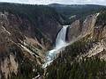 August 9, 2009 - Yellowstone National Park, Wyoming.<br />Lower Falls of Yellowstone River from Lookout Point.