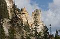 August 9, 2009 - Yellowstone National Park, Wyoming.<br />North Rim of the Yellowstone River south of Lower Falls.